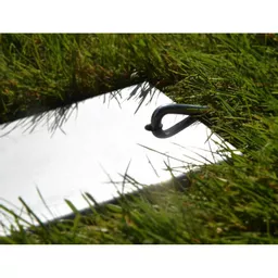 1738842643-77737500.jpg?