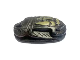 scarab (2).jpg