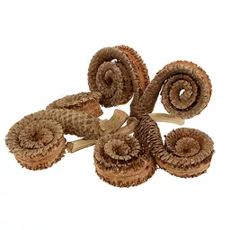 Brwon Rams Horns.jpg