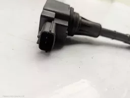313623f8-546a-4c0d-aa6e-e5f926a38e15.jpeg?