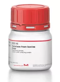 Catalase from bovine liver 10g