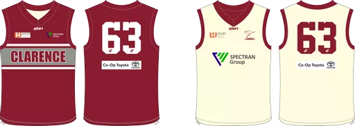Reversible cricket vest.png