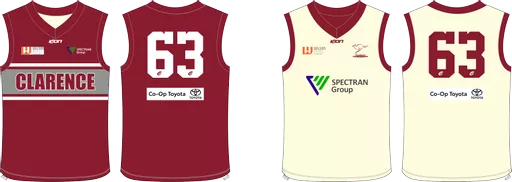 CDCC Reversible Cricket Vest