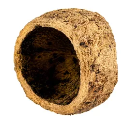 ourico shell.jpg