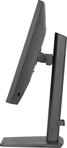 cVGZtwulkUGCEEy92Bh2wg.c-r.jpg?