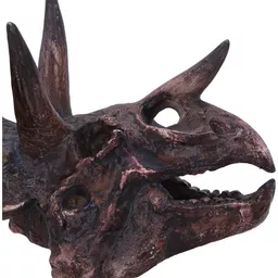 Triceratops - 14 (6).jpg