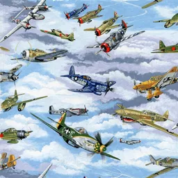 Warbirds Display Fabric.jpg
