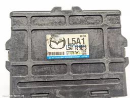 4d0a8143-f7af-4893-932d-91b3e19ababa.jpeg?