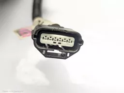 366840c5-742a-40ce-83d9-924ef91622d5.jpeg?