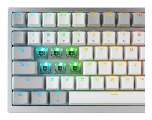 7q8RG7gmOEW-lhnRo1dfpA.c-r.jpg?