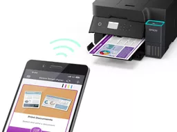 KpIO2vGOLECOXQpjM4vnyA.c-r.jpg?