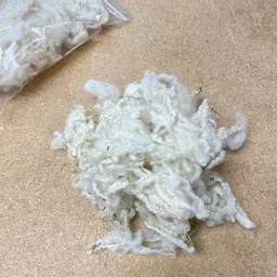 curly wool 2.jpg