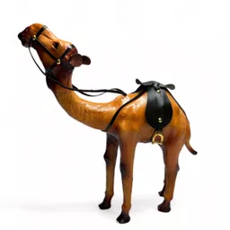 Big Camel 2.jpg