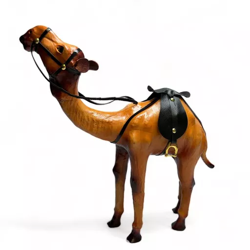 Big Camel 2.jpg