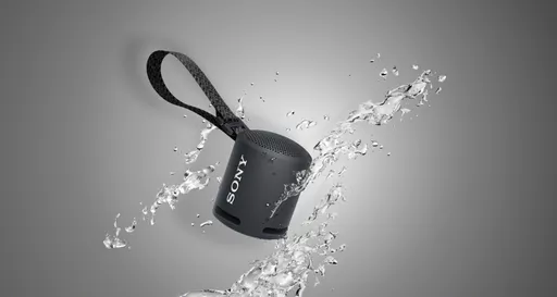 Sony SRSXB13 Stereo portable speaker Black 5 W