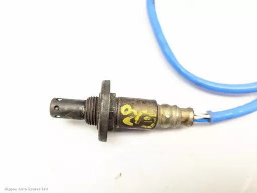 bf40e1c1-0f51-4ca3-9e07-7b36ea2f82bb.jpeg?