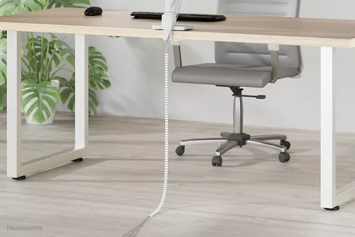 rn1yuwb2L0-uKpzILEQqoA.c-r.jpg?