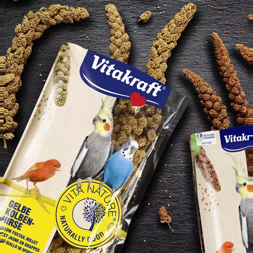 Vitakraft Millet Sprays (100g)