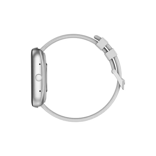 DEV-WT5-SW-SLV3 (Copy).png