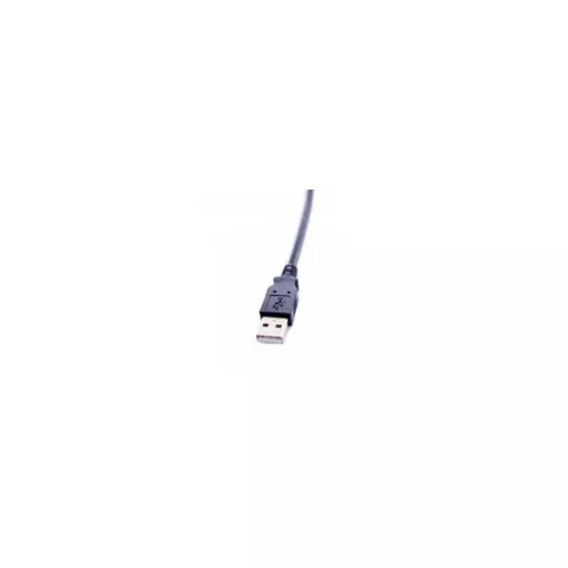 rsz_138ea494a77b48c0b186f5c157328eb0.jpg?