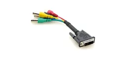 UMNH-KFb40e1_plks6hJrw.c-r.jpg?