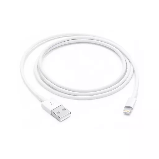 Apple Lightning to USB Cable (1m)