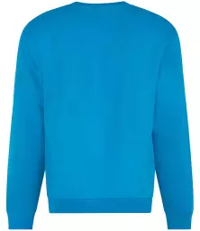 RX301%20TUR%20BACK.jpg?