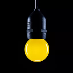 1670602118-64487200.jpg?