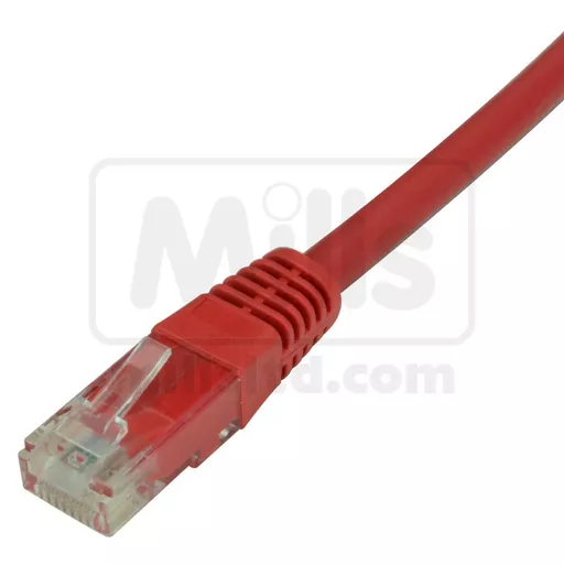 cat6-red_16.jpg