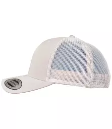 F6606%20SIL%20LEFT.jpg?