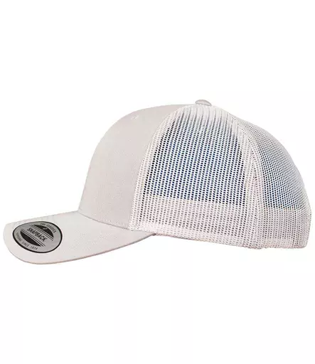 F6606%20SIL%20LEFT.jpg?