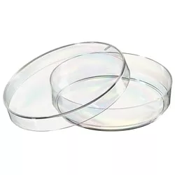 Petri Dishes, 60 mm, 15 mm,Pack of 540