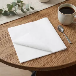 40cm Airlaid 1_4 Fold Napkin White_0000s_0001_NAPKIN000080.jpg