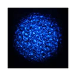 1562861471-74336300.jpg?