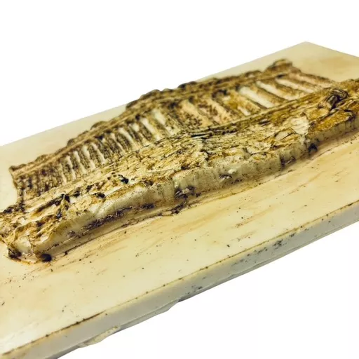 Parthenon Plaque 2.jpg