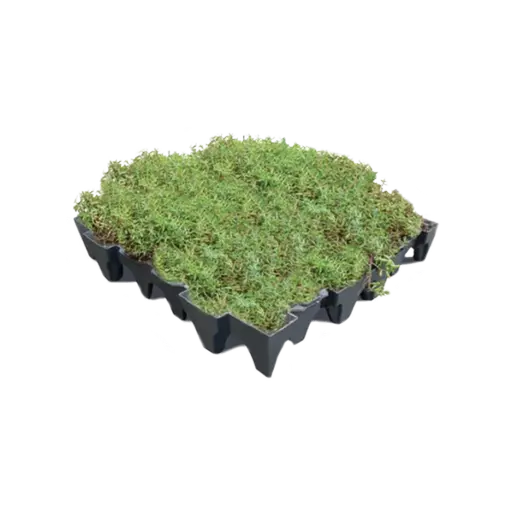 8a68c20315e921c486a12db880ce8611.png