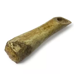 Bone Hand Tool 2.jpg