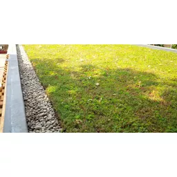 GrufeKit Sedum Tray with Stone Border.jpg