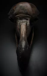 Dodo 3.jpg