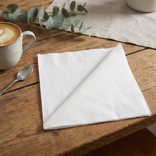 40cm 2-Ply 1_4 Fold Napkin White_0000s_0001_NAPKIN000094.jpg