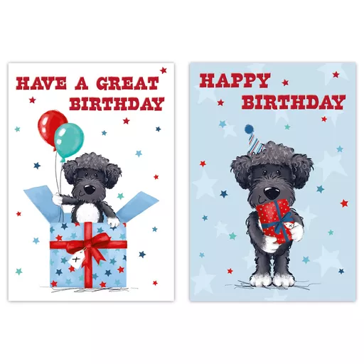 Poppyhill 12 Pack Cards C50 Everyday Birthday Open Cute Dog With Presents