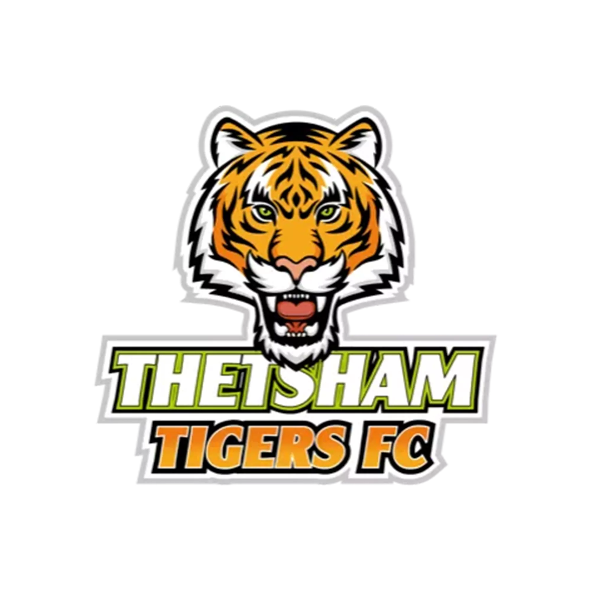 Thetsham Tigers.png