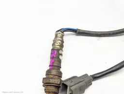 373742ad-1239-473f-a541-63659226427e.jpeg?