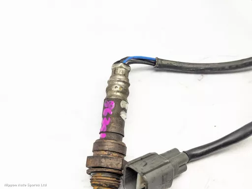 373742ad-1239-473f-a541-63659226427e.jpeg?