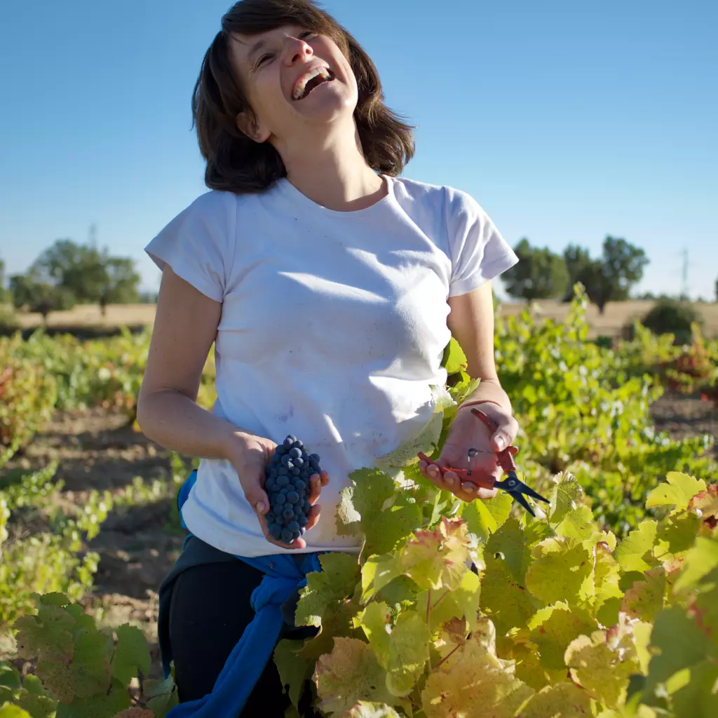 Our Wonderful Wine Women