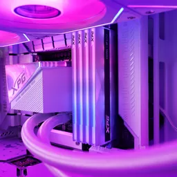 INyB6RIJ0E-6zbvqtsQrEA.c-r.jpg?