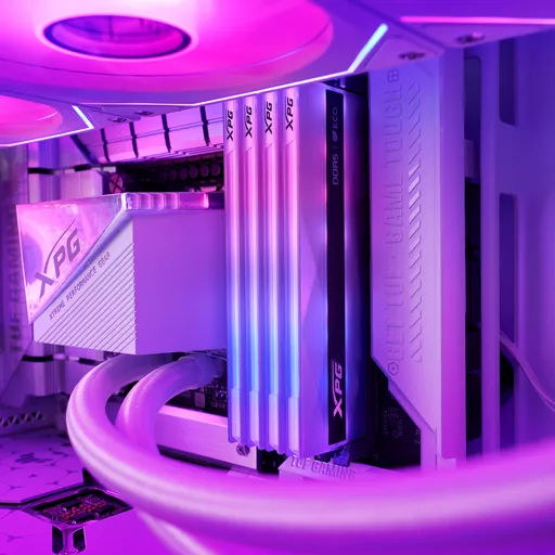 INyB6RIJ0E-6zbvqtsQrEA.c-r.jpg?