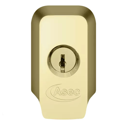 ASEC High Security Rim Cylinder Pull With Cylinder
