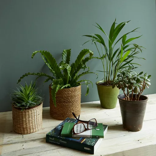 secret room wall.webp