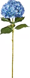 IT393779.jpg